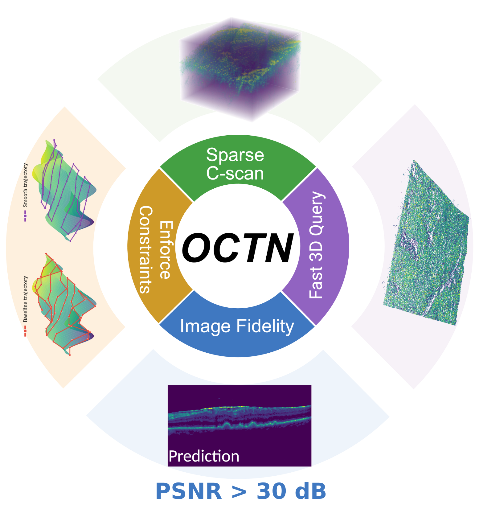OCTN overview: neural tissue reconstruction, spatial queries, and robot path planning