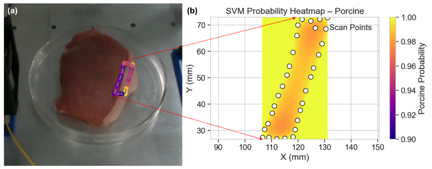 Where is the Boundary